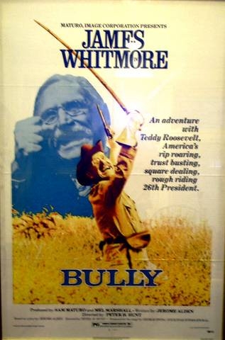 Bully: An Adventure with Teddy Roosevelt